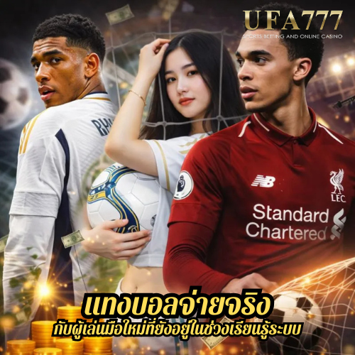 แทงบอลจ่ายจริง กับผู้เล่นมือใหม่ที่ยังอยู่ในช่วงเรียนรู้ระบบ