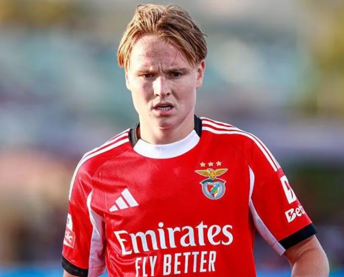 แอนเดรียส เชลเดอรัป