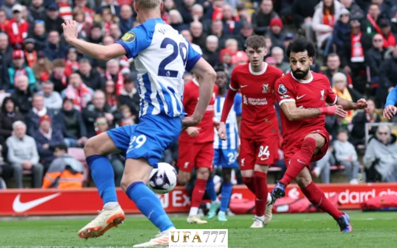 ไบรท์ตัน-หงส์แดง